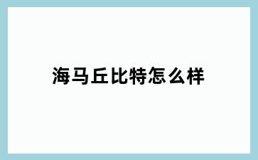 海马丘比特怎么样