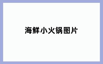 海鲜小火锅图片