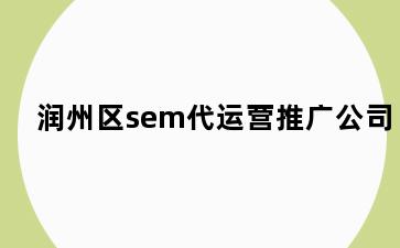 润州区sem代运营推广公司