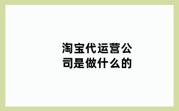 淘宝代运营公司是做什么的