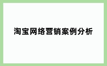 淘宝网络营销案例分析