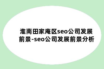 淮南田家庵区seo公司发展前景-seo公司发展前景分析