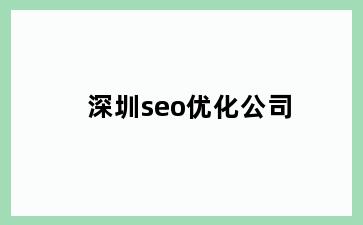 深圳seo优化公司