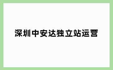 深圳中安达独立站运营