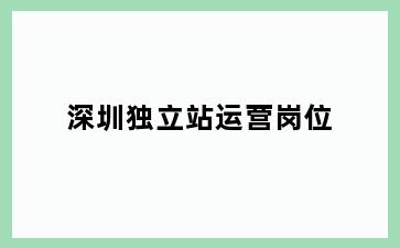 深圳独立站运营岗位