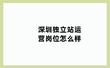 深圳独立站运营岗位怎么样