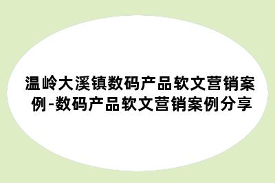 温岭大溪镇数码产品软文营销案例-数码产品软文营销案例分享