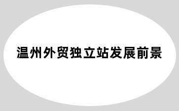 温州外贸独立站发展前景