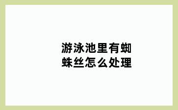 游泳池里有蜘蛛丝怎么处理