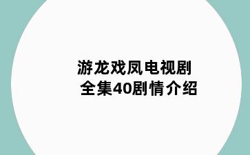 游龙戏凤电视剧全集40剧情介绍