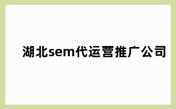 湖北sem代运营推广公司