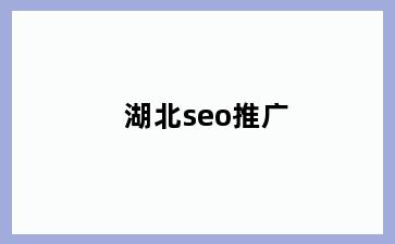 湖北seo推广