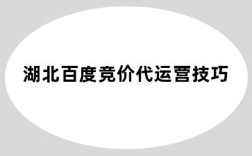 湖北百度竞价代运营技巧