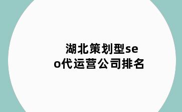 湖北策划型seo代运营公司排名