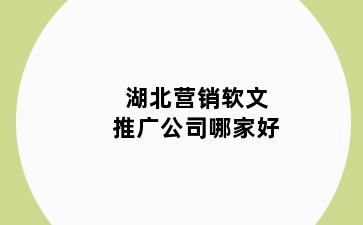 湖北营销软文推广公司哪家好