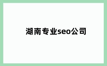 湖南专业seo公司