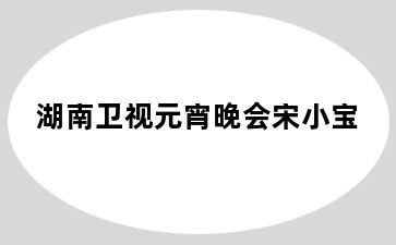 湖南卫视元宵晚会宋小宝