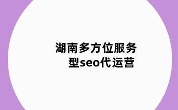 湖南多方位服务型seo代运营