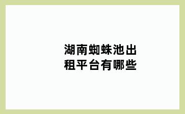 湖南蜘蛛池出租平台有哪些