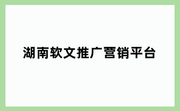湖南软文推广营销平台