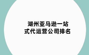 湖州亚马逊一站式代运营公司排名