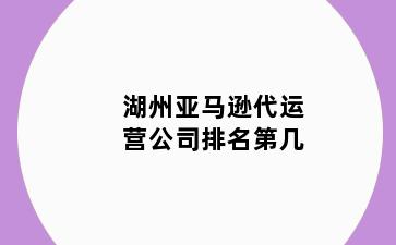湖州亚马逊代运营公司排名第几