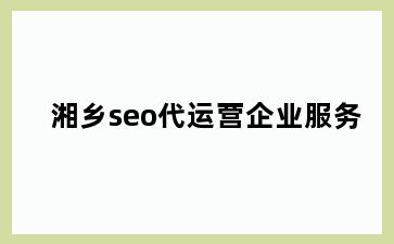 湘乡seo代运营企业服务