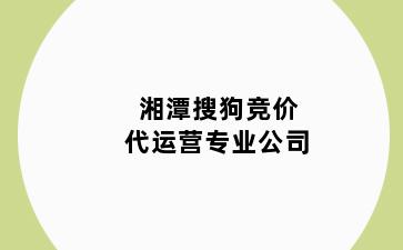湘潭搜狗竞价代运营专业公司