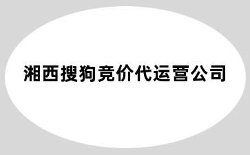 湘西搜狗竞价代运营公司