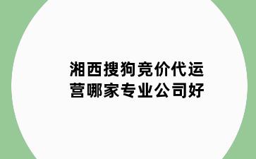 湘西搜狗竞价代运营哪家专业公司好