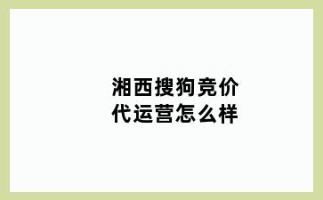 湘西搜狗竞价代运营怎么样