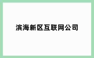 滨海新区互联网公司