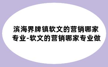 滨海界牌镇软文的营销哪家专业-软文的营销哪家专业做