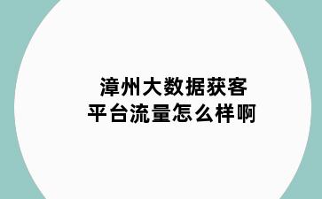 漳州大数据获客平台流量怎么样啊