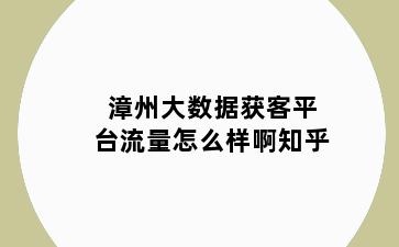 漳州大数据获客平台流量怎么样啊知乎