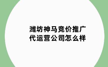 潍坊神马竞价推广代运营公司怎么样