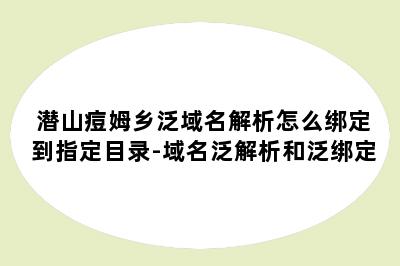 潜山痘姆乡泛域名解析怎么绑定到指定目录-域名泛解析和泛绑定