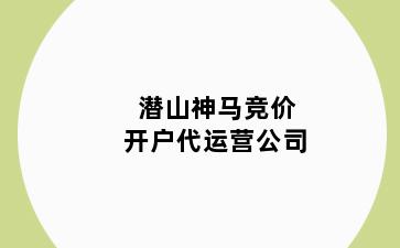 潜山神马竞价开户代运营公司