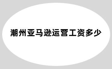 潮州亚马逊运营工资多少