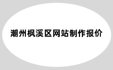 潮州枫溪区网站制作报价