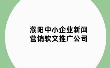 濮阳中小企业新闻营销软文推广公司