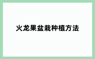 火龙果盆栽种植方法