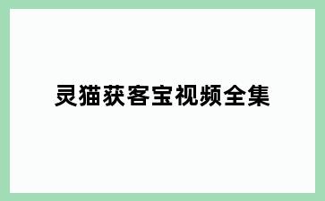灵猫获客宝视频全集