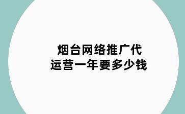 烟台网络推广代运营一年要多少钱