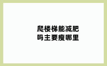 爬楼梯能减肥吗主要瘦哪里