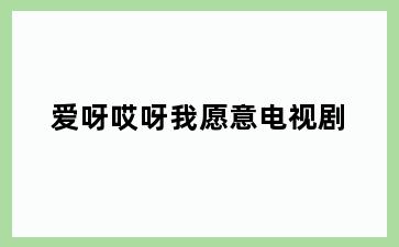 爱呀哎呀我愿意电视剧