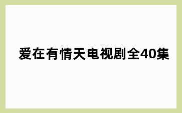 爱在有情天电视剧全40集