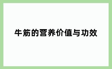 牛筋的营养价值与功效