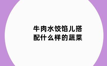 牛肉水饺馅儿搭配什么样的蔬菜