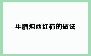 牛腩炖西红柿的做法
